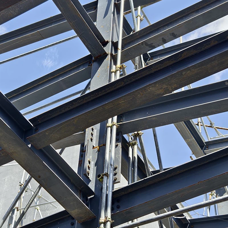 news-800-800 news-800-800